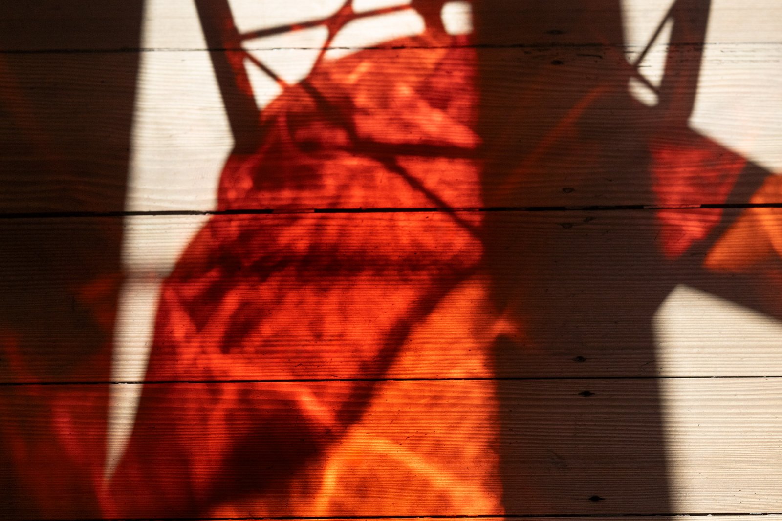 DSC8266.jpg
