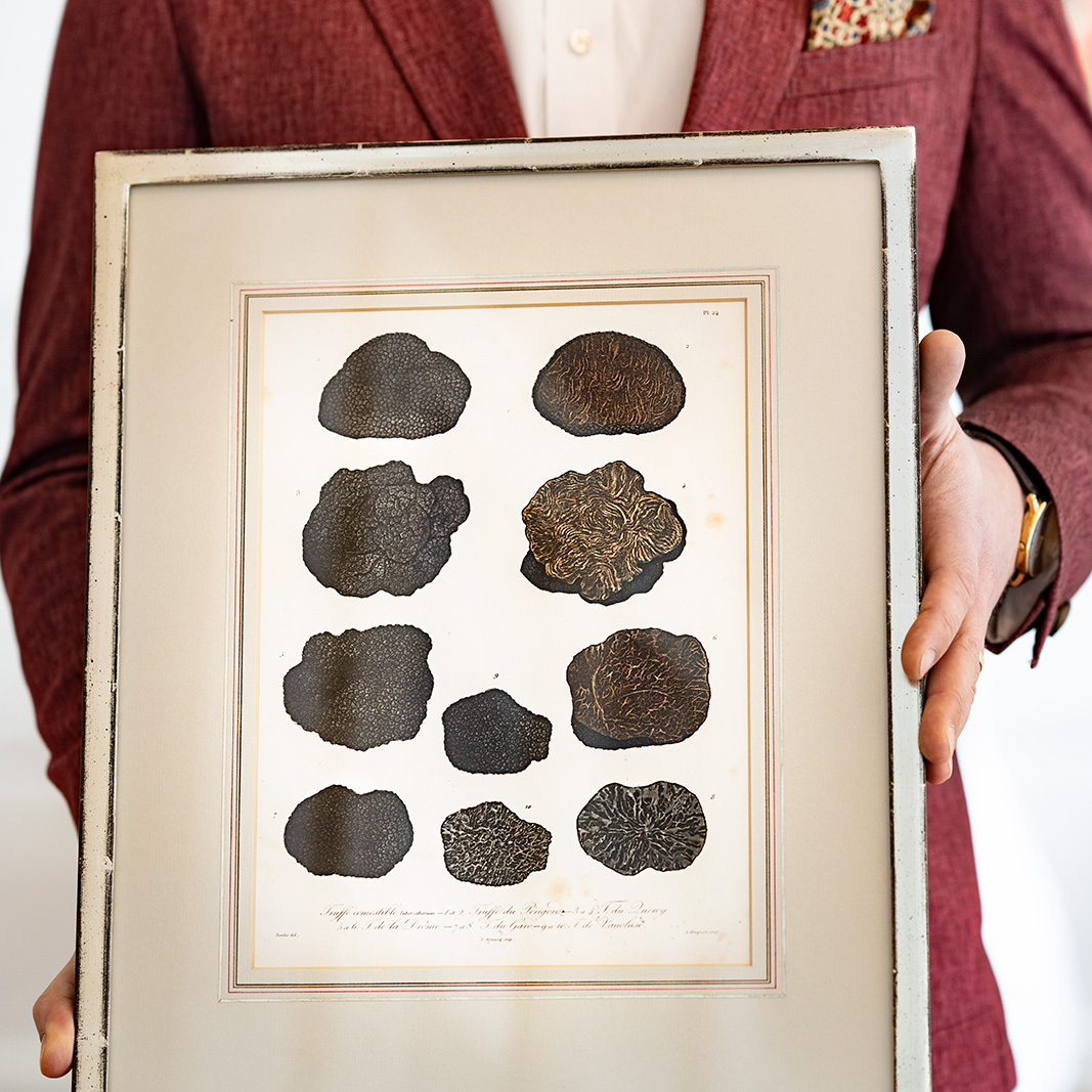 Trüffel - Präsentation