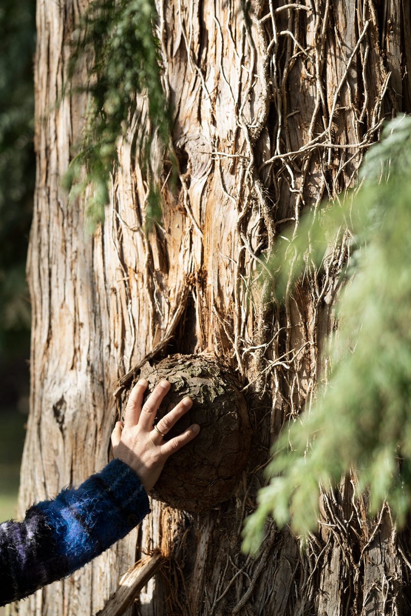 Douce Steiner in the garden